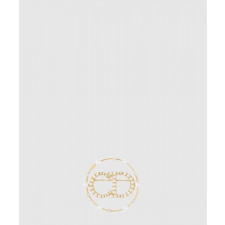 디올 Clair D Lune 브로치 V0412