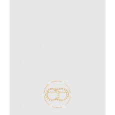 디올 Clair D Lune 브로치 V0412