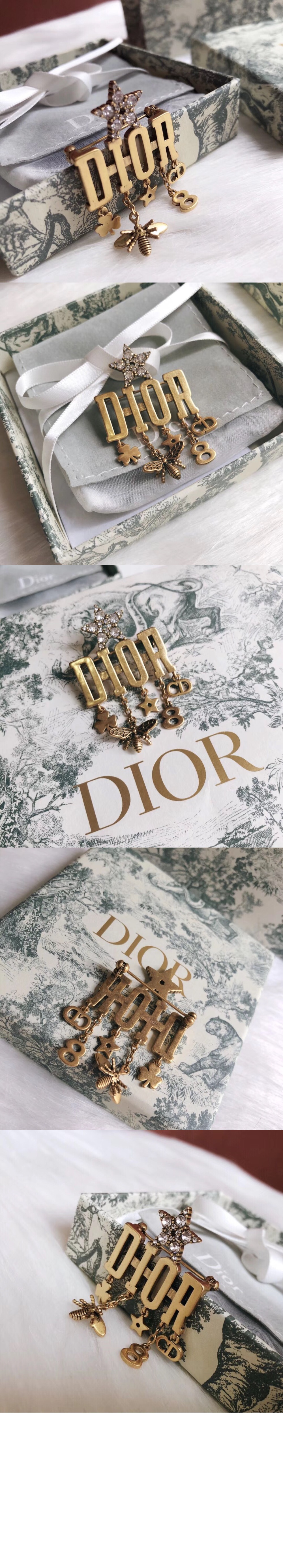 디올 Dio(r)evolution 브로치 V0302