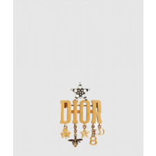 디올 Dio(r)evolution 브로치 V0302