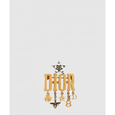 디올 Dio(r)evolution 브로치 V0302