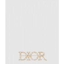 디올 Dio(r)evolution 브로치 V0454