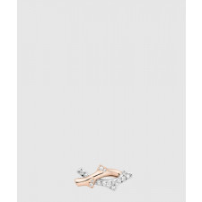 디올 Bois de Rose 귀걸이 JBDR9