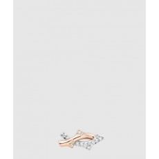 디올 Bois de Rose 귀걸이 JBDR9