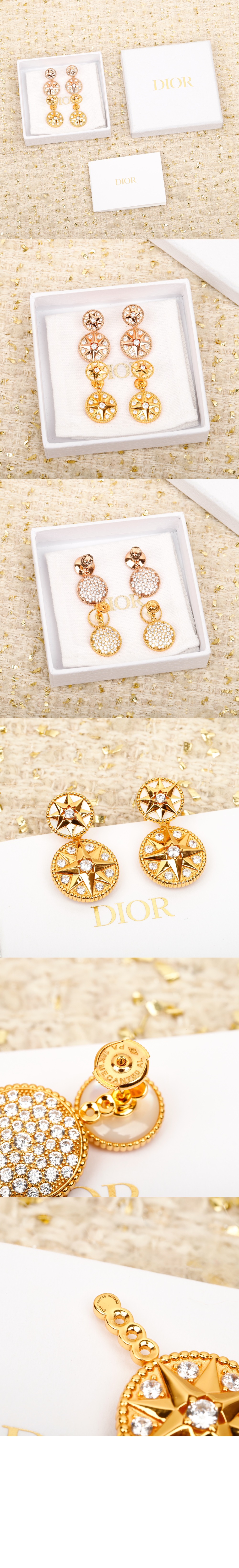 디올 Rose des Vents 귀걸이 JRDV9