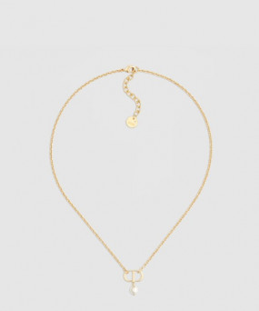 디올 Petit CD 목걸이 N1390