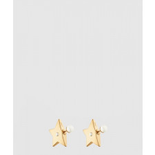 디올 Dior Tribales 귀걸이 E2118