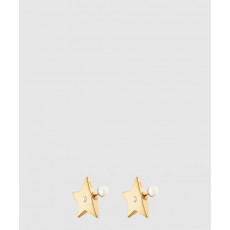 디올 Dior Tribales 귀걸이 E2118