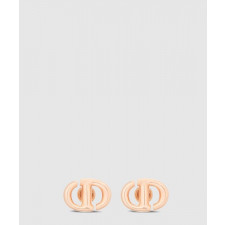 디올 CD Navy 스터드 귀걸이 E1594