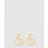 디올 Dior Tribales 귀걸이 E1654