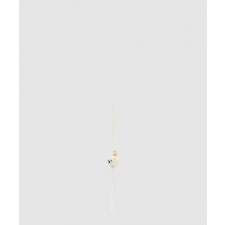 로에베 차우차우 참