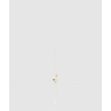 로에베 차우차우 참