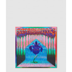 루이비통 아이리스 스프링 스퀘어 90 M93343