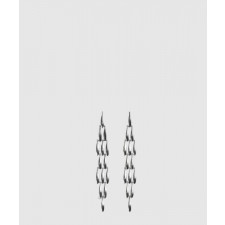 보테가베네타 정어리 이어링 765248