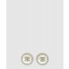 샤넬 귀걸이 AB2282