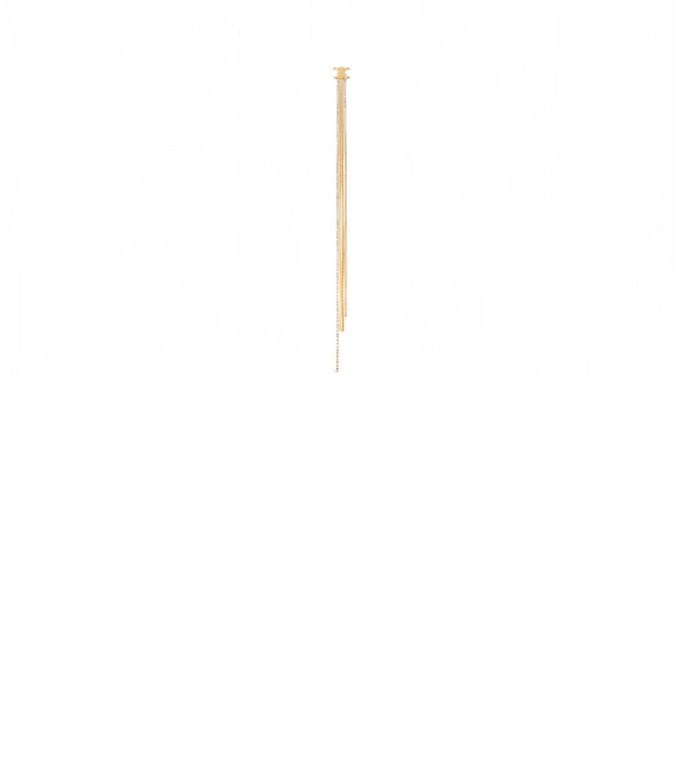 셀린느 귀걸이 460UO6