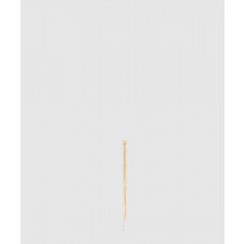 셀린느 귀걸이 460UO6