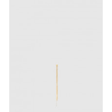 셀린느 귀걸이 460UO6