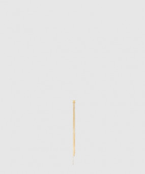 셀린느 귀걸이 460UO6