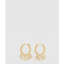 셀린느 Paris 귀걸이 46X466