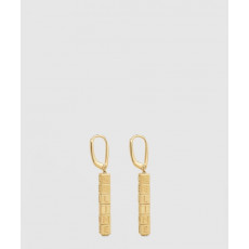 셀린느 귀걸이 46W746