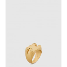 셀린느 트라이옴프 반지 460MP6