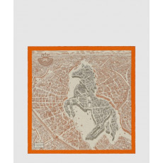 에르메스 La Cite Cavaliere 숄140