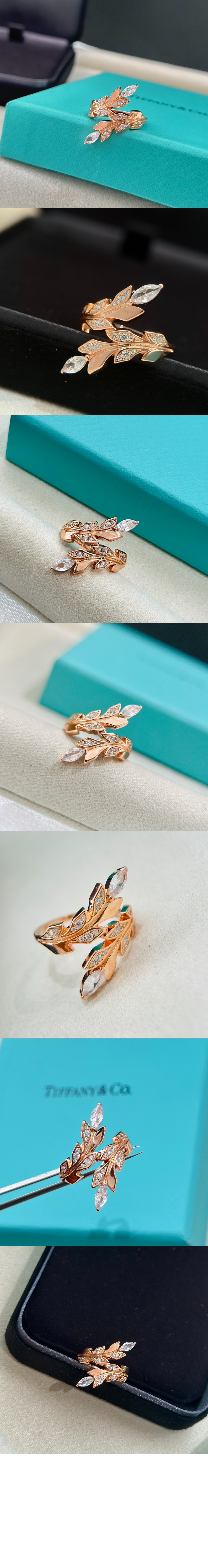 티파니앤코 넝쿨 서클 반지