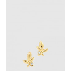 티파니앤코 올리브 리프 이어링