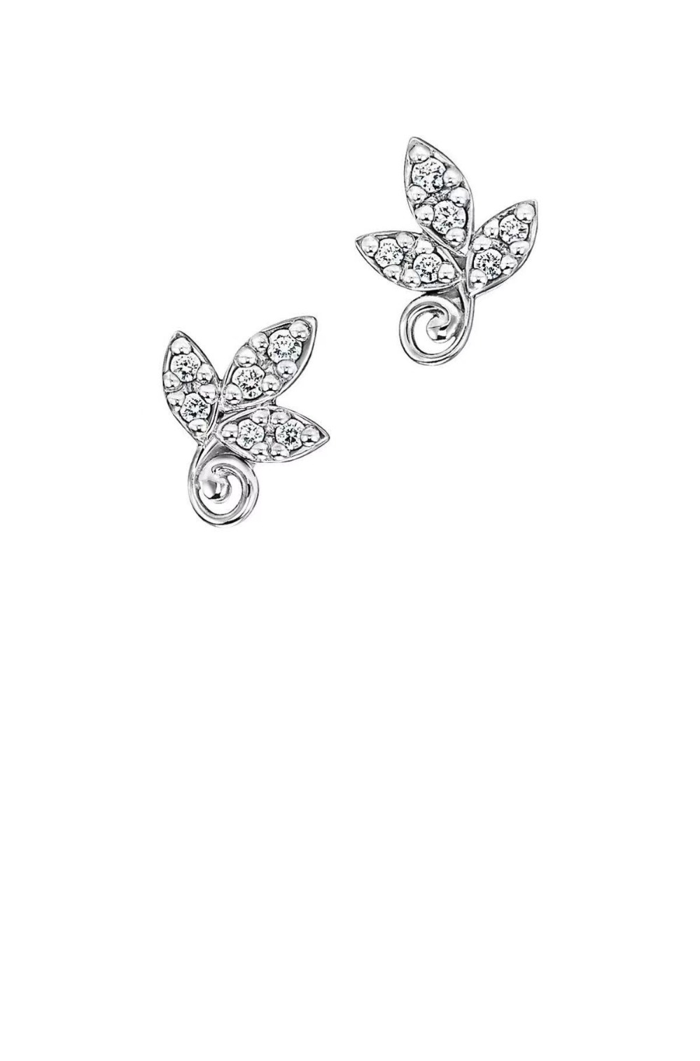 티파니앤코 이어링