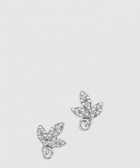 티파니앤코 이어링