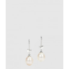 티파니앤코 올리브 리프 드롭 이어링