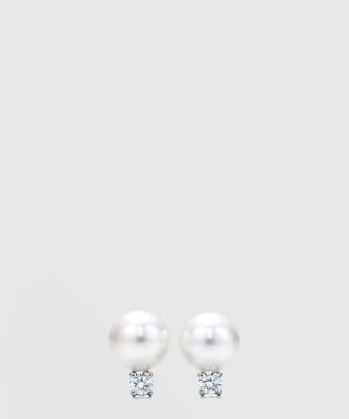 티파니앤코 귀걸이