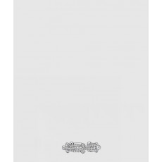 티파니앤코 스몰 체인 반지