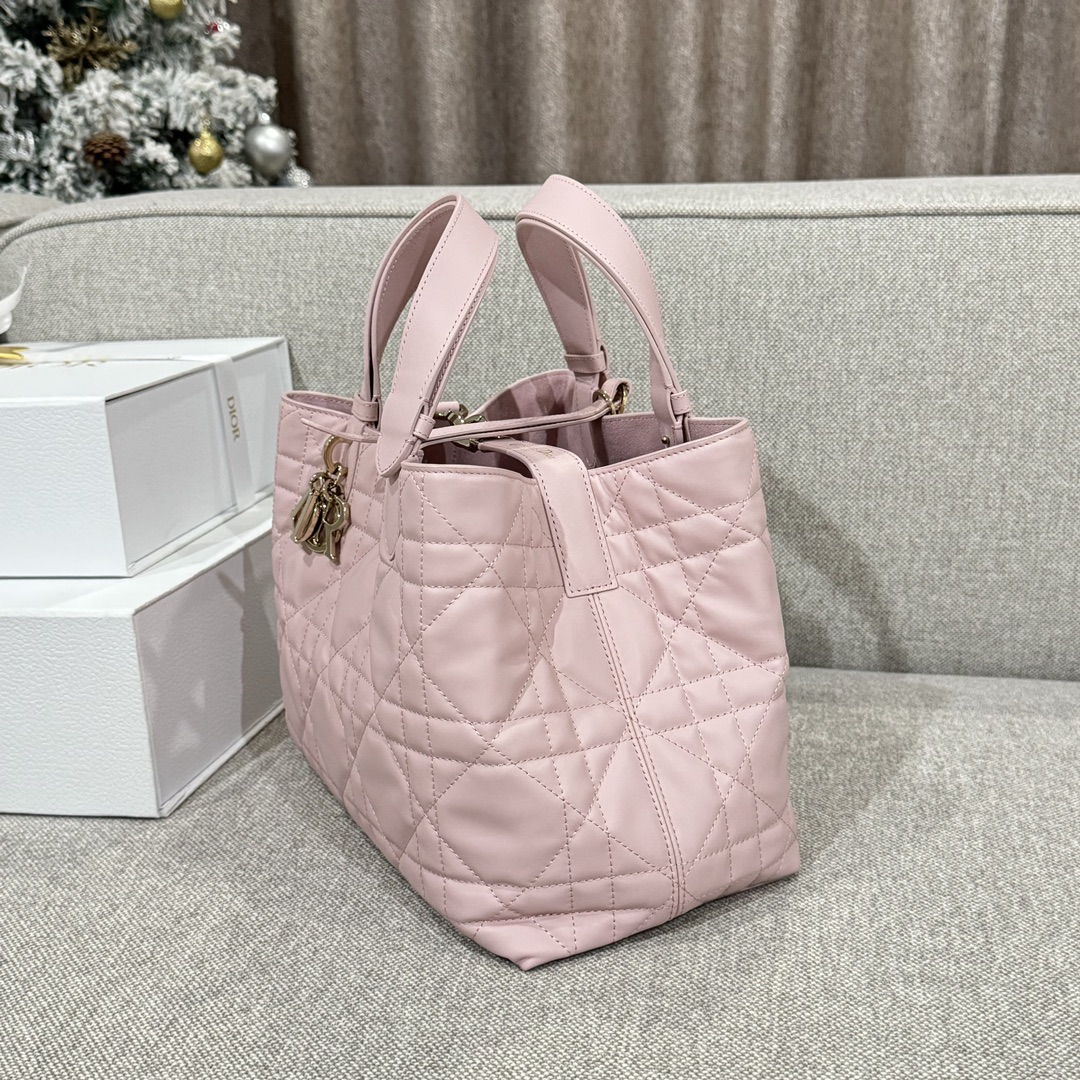 디올 뚜주흐 백 미듐 핑크